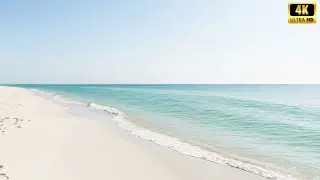 The Shell Grotto: Tinkling Waters and Echoing Droplets 🐚 [4K]