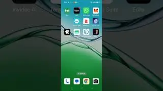 How to switch from Etherium mainnet Polygon Mainnet on Metamask wallet