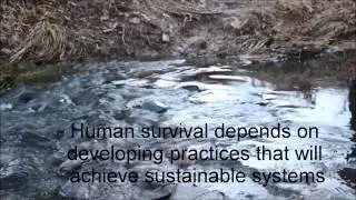 AP Environmental