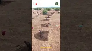 This is how they convert Barren Land to Green Oasis
