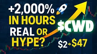 CWD Stock Soars +2,000% in Hours 🚀 | Real Reinvention or Pure Hype?
