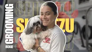 🐾How to bathe a Shih Tzu | Full Grooming Session of Roxie at Exclusive Pet Grooming 🐾