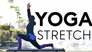 20 Minute Full Body Yoga Stretch (Quickie) For Total Body Flexibility | Fightmaster Yoga Videos