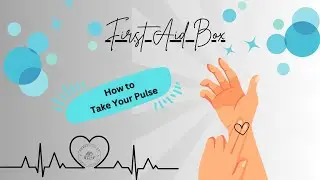 How to Take Your Pulse | Easy Heartbeat Activity for Kids