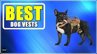 Top 4 Best Tactical Dog Vests Review - Training Dog Harnesses On Aliexpress On Amazon