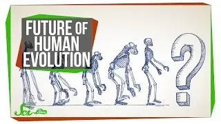 The Future of Human Evolution