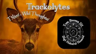 Yule night thoughts!