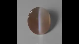 Round Cabochon Catseye Silliminite 10.54cts