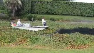 LWDD At Work For You - Aquatic Crew