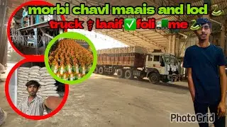 morbi chavl maais and lod truck ⚕️laaif ✅foli 🚛me 🐍#minivlog #morbi #mahadev #trucks #truck 