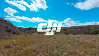 DJI Action 4 | 4K 48fps RockSteady | D - Log M