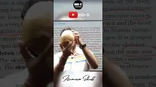 #jhansi #biology #reels #youtubeshorts #new #kanpur #short #instagram #facts #subscribe #follow
