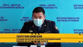Дело № 837 - смертельное ДТП, тело, пролежавшее три года в канализации, интернет-мошенничество