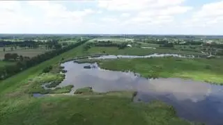 Ausdeichungsgebiet Apen   Hengstforderfeld - FullHD