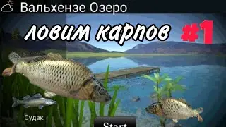 ловим карпов (ultimate fishing simulator) Вальхензе.