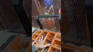 Stacking Ridgid 2 0 Half tray organizer #shorts #ridgid #organizer