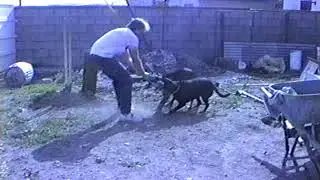 Backyard 1991 (Tape 028)