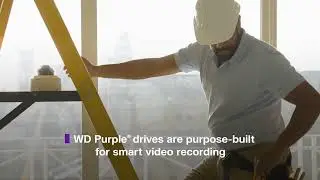 WD Purple - Purple is For You