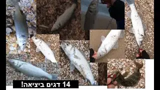 חנות כריש הדייג | 14 דגים ביציאה אחת! חוט בד דק