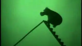 Richard Bradshaw: Shadow Puppeteer