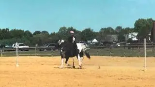 Draft Horse Barrel Racing.wmv