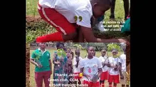  plant fruit trees in schools for nutrition and academic excellence ♻️🌳#ecosia #school   
