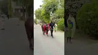 Ifrah khan viral video