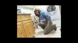 Pest Control London, Best Commercial Pest Control Services in London