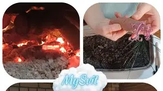 Справжня зима на Одещині: мороз, сніг та домашні клопоти ❄️