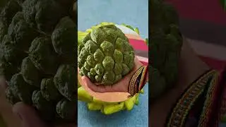 Os Benef&iacute;cios da Pinha, ou Fruta-do-Conde, para sua Sa&uacute;de!