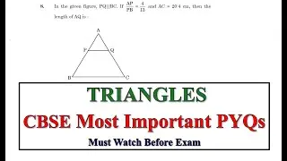 Class 10th Triangles (त्रिभुज) 🔥 Most Important PYQs | Class 10 Maths