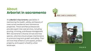 Arborist in sacramento - Cisnerostreecare.com