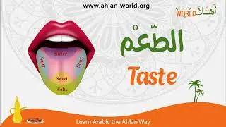 Ahlan Arabic Lessons: Learn to describe 
