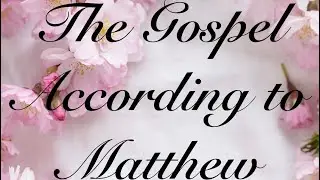 New Testament (Matthew 14:1 - 14:36) 🙏🏼