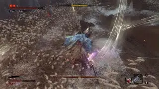 Sekiro One Handed No-Hit Inner Isshin Aggression (Charmless + Demon Bell)