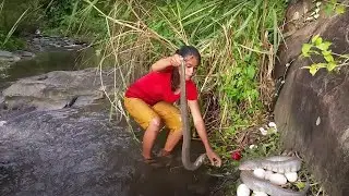 Brave Girl catch water snake and cooking with Eggs for her survival food with 3 more Cooking Videos