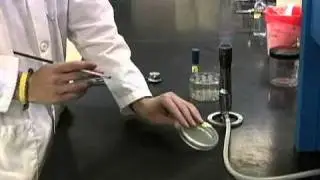 Nitrate Test Procedure