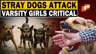 Two Girl Students Battling For Life After Injured In Stray Dog Attack In Bengaluru