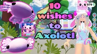 overlook bay axolotl new wishing well pet