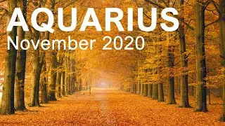 AQUARIUS NOVEMBER 2020 TAROT READING 