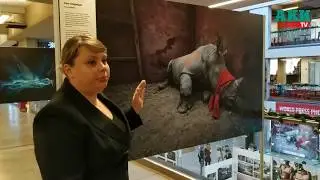 World Press Photo 2018 в Бишкеке
