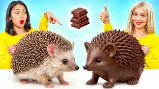 Real Food vs Chocolate Food Challenge | Funny Kitchen Hacks by Candy Land
