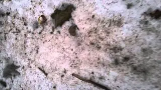 Microspikes up the white mountains