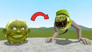 LIN GANG MELON BECOME HORROR in Garry's Mod