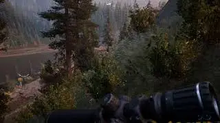 Far Cry 5 - Buttshot