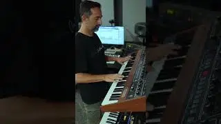 Thomas Schwartz, Fausto Fanizza - Winter Fields feat. Phoebe Tsen (Nick Devon Remix) #shorts