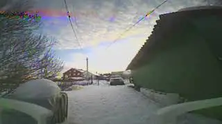 FlyEgg 100