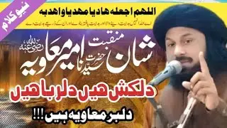 Dilkash hy Dil Ruba hy Dilbar Muavia hy |manqabat ameer muawiya | Allama Muhammad Rizwan Qadri 