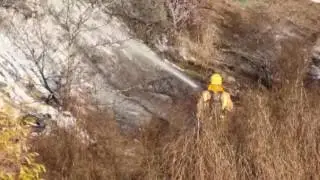 Scrub fire in central Balclutha