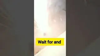 😱😱 RR Carry Experiment